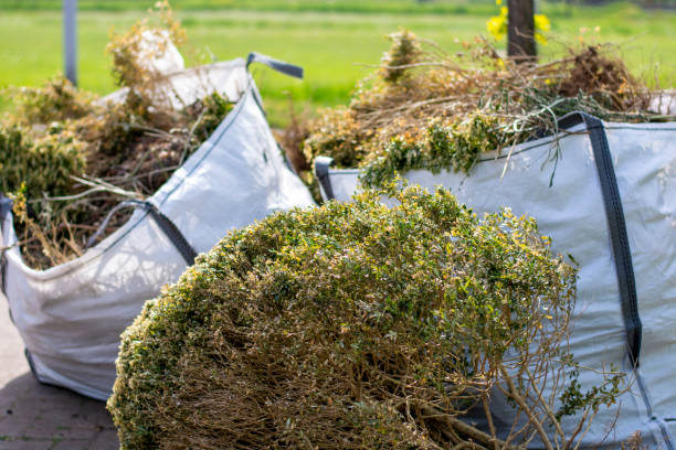 Best Carpet Removal and Disposal  in , WY